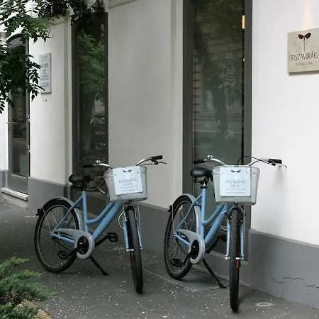 Tiszavirag 4* סגד