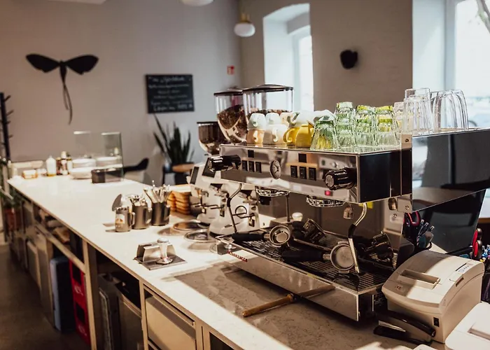 Hotel Tiszavirag Seghedin