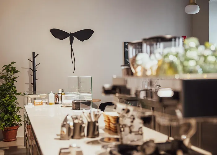 Tiszavirag Hotel Seghedin