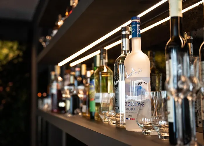 Hotel Tiszavirag Seghedin